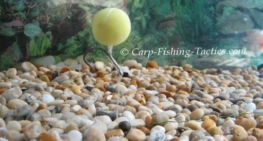 claw-carp-fishing-rig