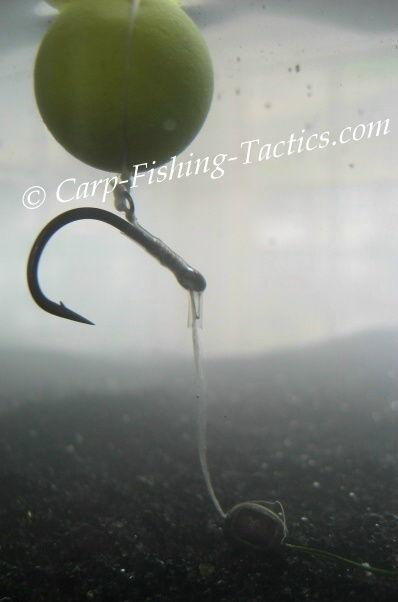 claw-fishing-popup-rig