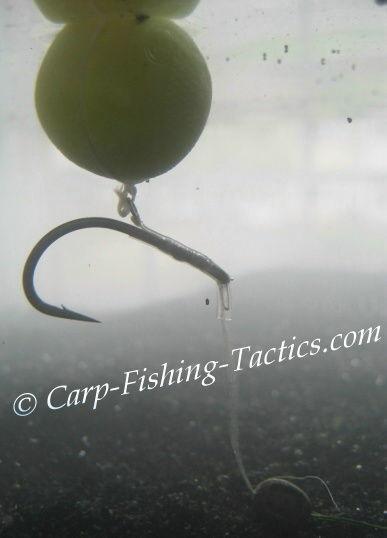 claw-popup-fishing-rigs