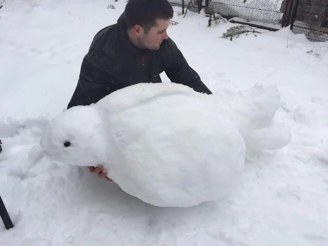 SwlIBZeU7nE