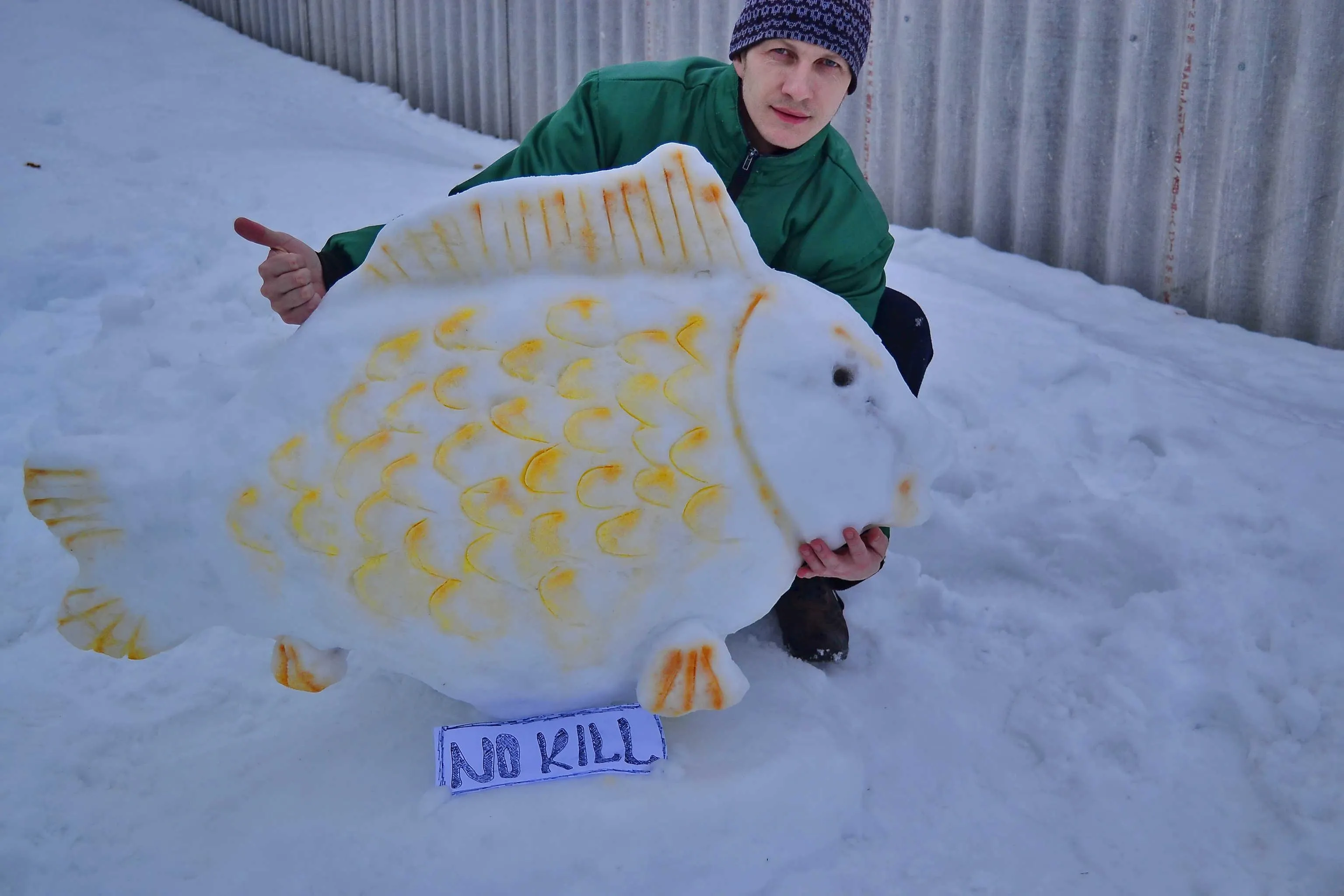 ноу+кил