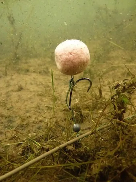 3.-It-doesnt-matter-if-its-a-pop-up-or-a-bottom-bait-tangles-occur-a-lot-more-than-you-think.-