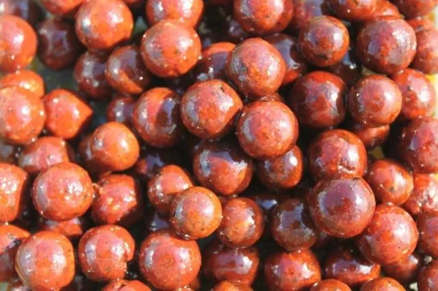 Бойлы для ловли карпа с красной икрой и специями крупным планом