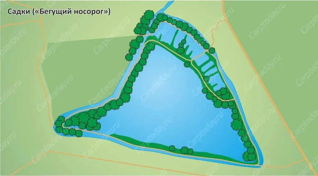 Садки