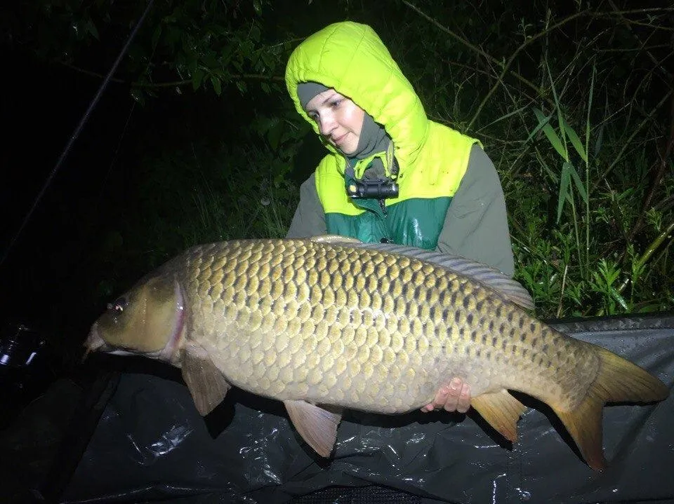rsn32