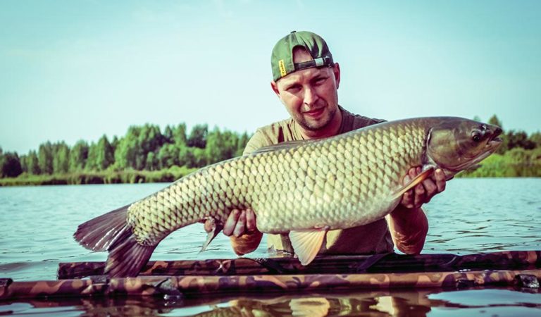 Как выбрать бойлы для ловли карпа. Антон Ерохин. Школа Carptoday