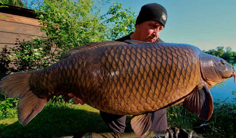Бойлы Dynamite Baits Hot Fish GLM — 20 лет тестов! Бойлы Dynamite Baits Hot Fish GLM — 20 лет тестов!