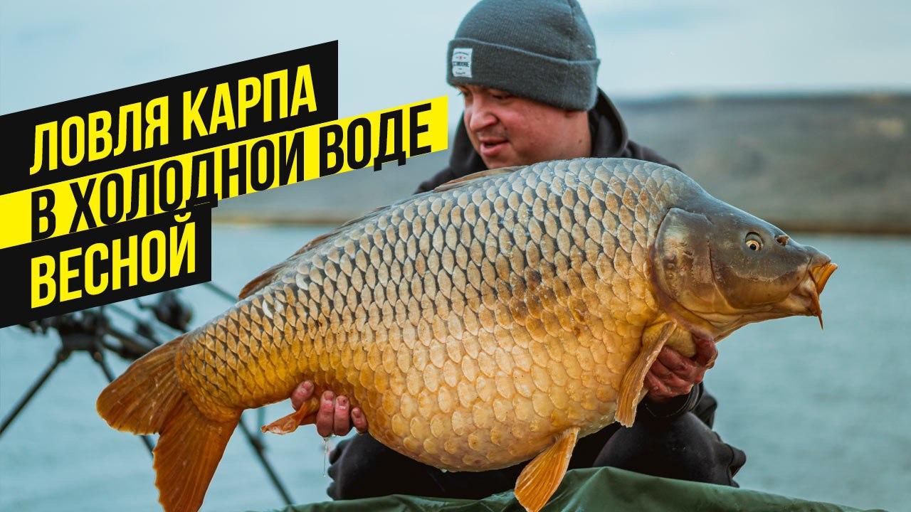 Лучшие Насадки для Карася Леща Плотвы осенью Рыболовная насадка для карася На чт