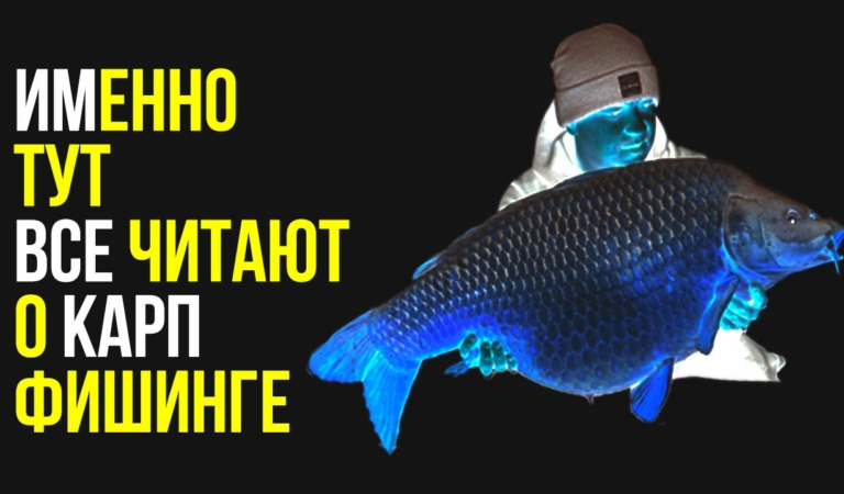 ВСЕ О КАРПФИШИНГЕ. ГЛАВНЫЙ ИНФОРМАЦИОННЫЙ РЕСУРС О ЛОВЛЕ КАРПА — CARPTODAY.RU. КОНКУРС! ВСЕ О КАРПФИШИНГЕ. ГЛАВНЫЙ ИНФОРМАЦИОННЫЙ РЕСУРС О ЛОВЛЕ КАРПА — CARPTODAY.RU. КОНКУРС!