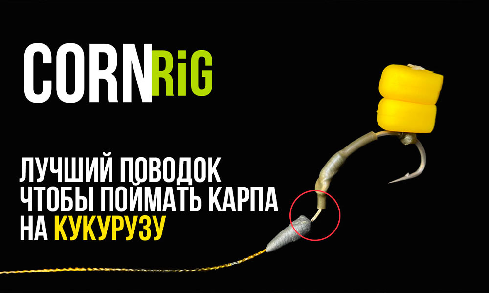 Карповый ПОВОДОК для ловли СОННОГО карпа? Вяжем D-RIG вместе! СОВЕТЫ