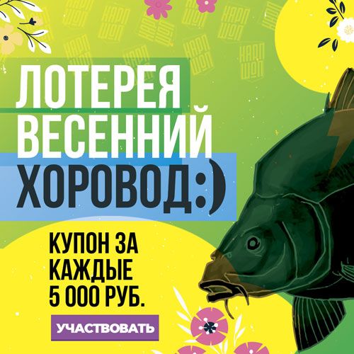Ловить карпа на зиг-риг очень просто