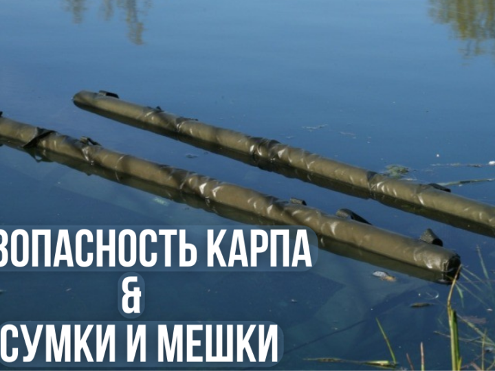 Карпфишинг — портал о ловле карпа CARPtoday