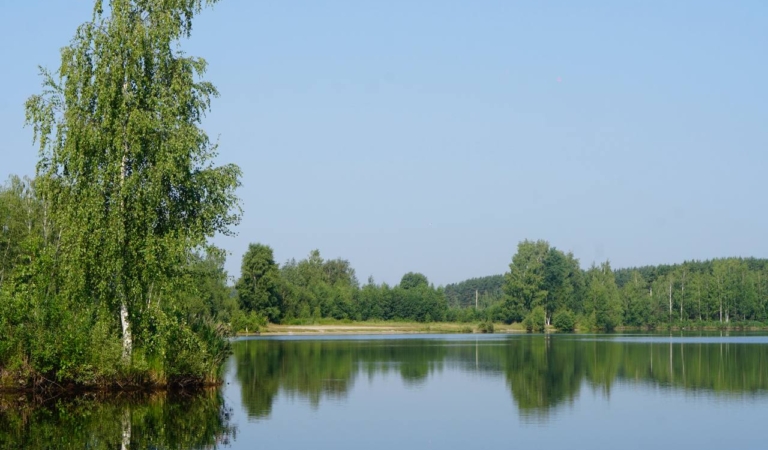 Ловля карпа на карьере. Отличия в поиске рыбы и тактике