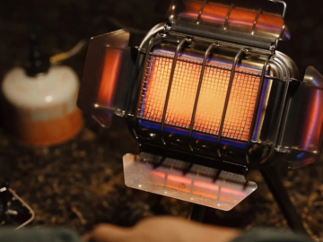 fire-maple-sunflower-h