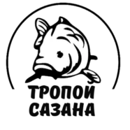 Аватар (Дмитрий)