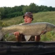 Аватар (CarpNykes)