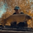 Аватар (SinyukovYI)